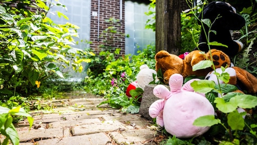 Zaak-Vlaardings pleegmeisje: ook andere kinderen van jeugdinstelling 'niet veilig'